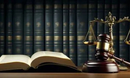 Constitutional Law Course